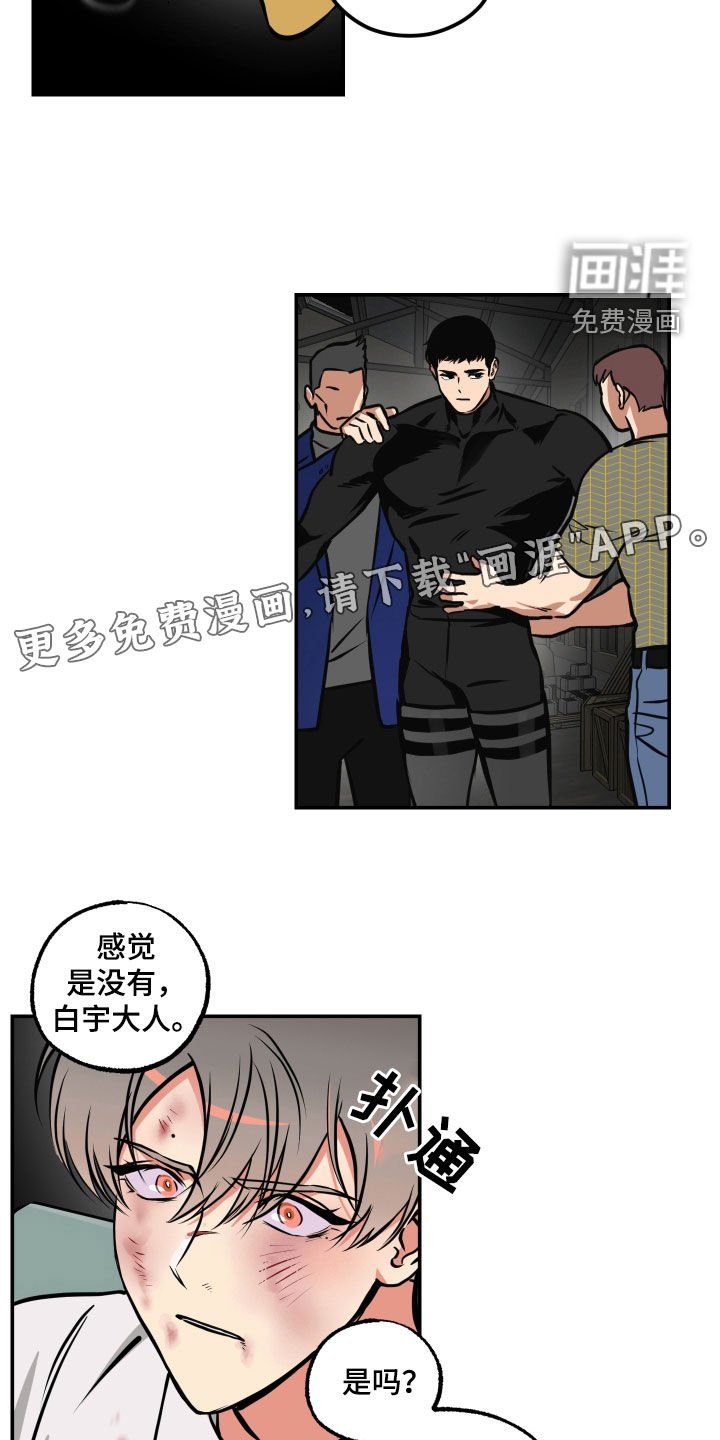 第56章：配合