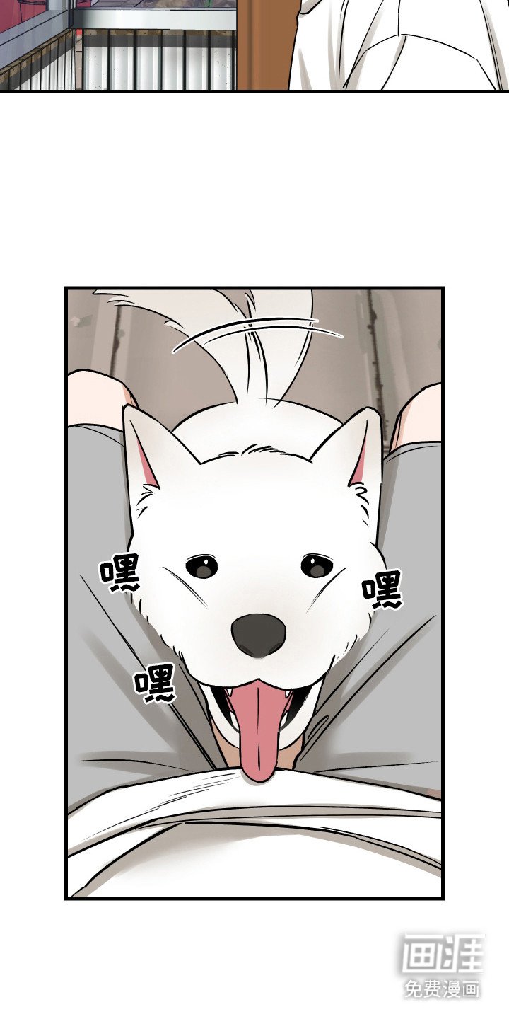 第13章：联系变少