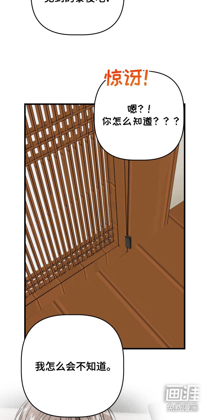 第17章：解释