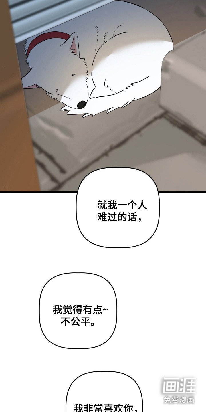 第19章：我要逮捕你（完结）