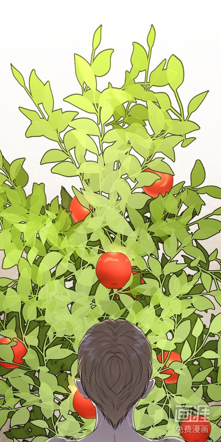 第2章：抓小偷