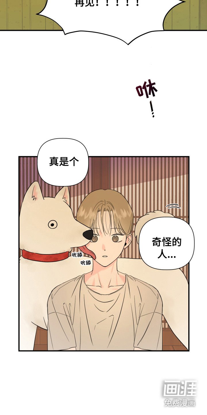 第4章：视线