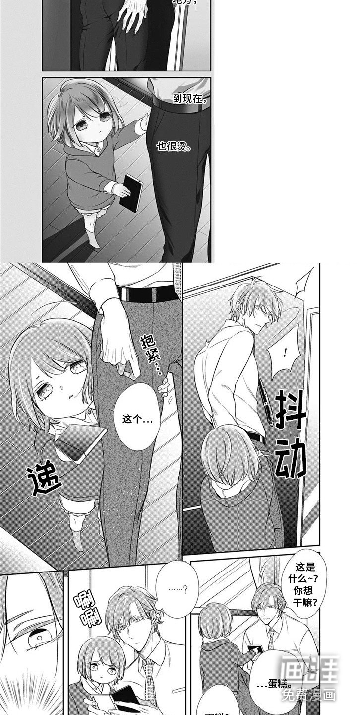 第8章：笔记本