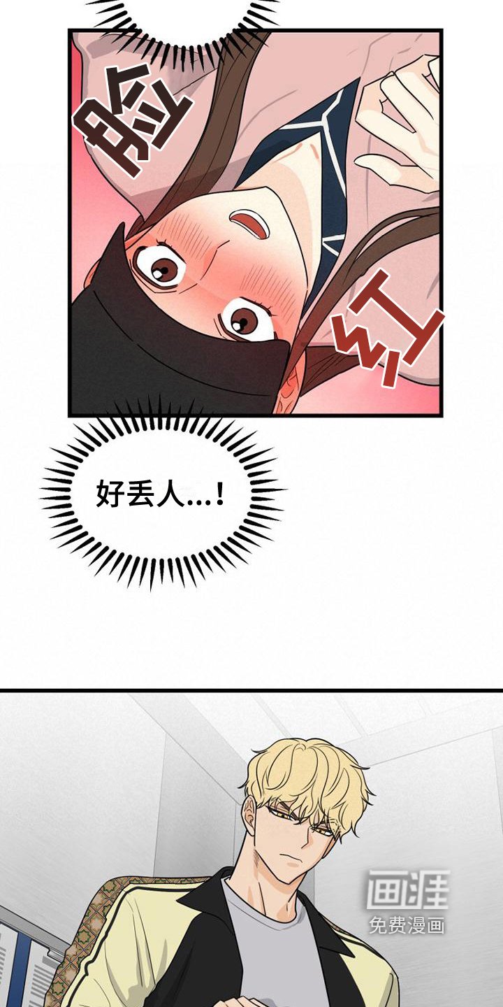 第11章：躲避
