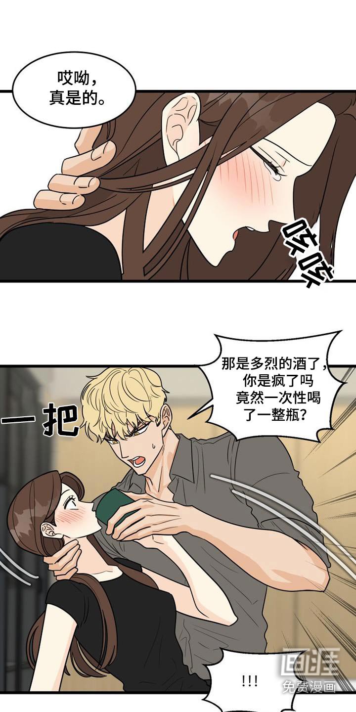 第28章：伏特加