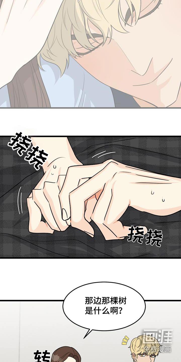 第35章：这样的话