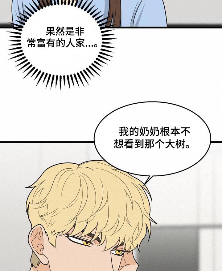第35章：这样的话