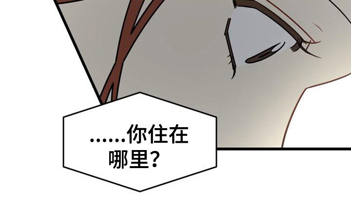 第4章：网络交流