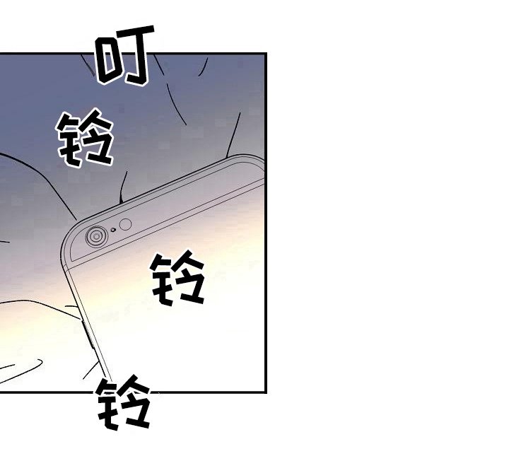 第15章：电话