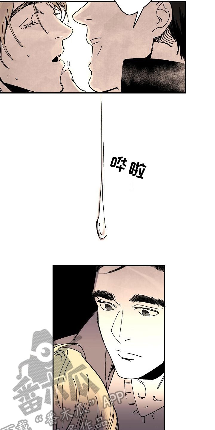 第17章：办法