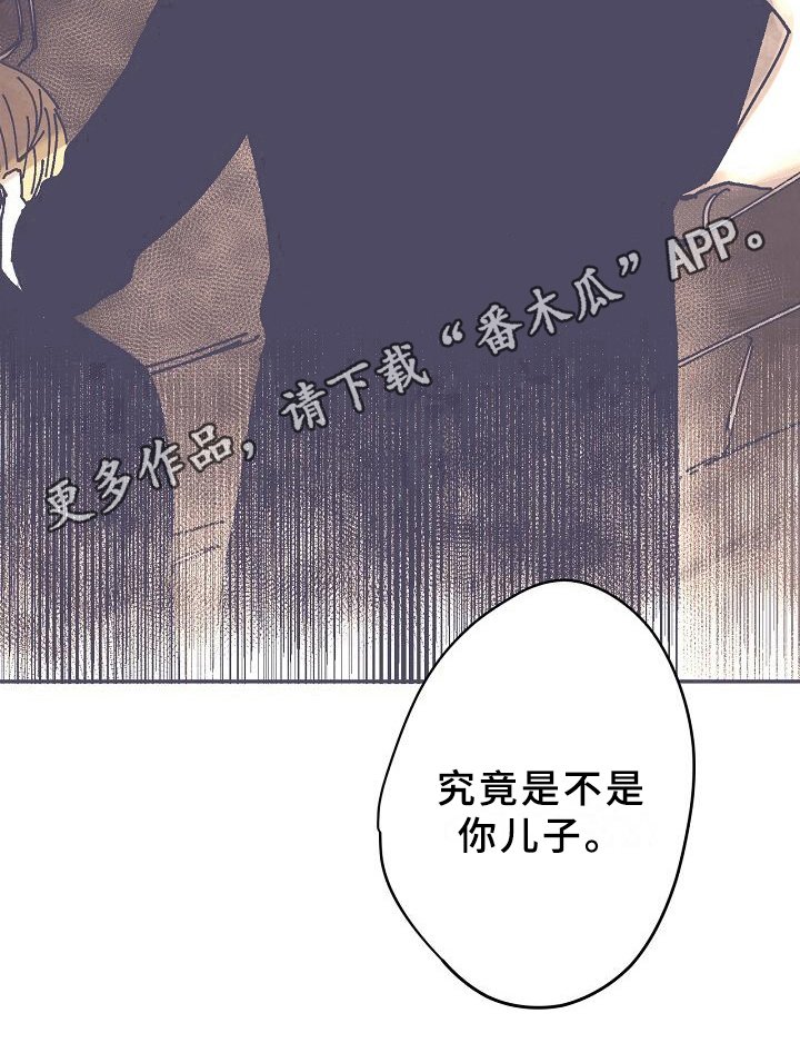 第17章：办法
