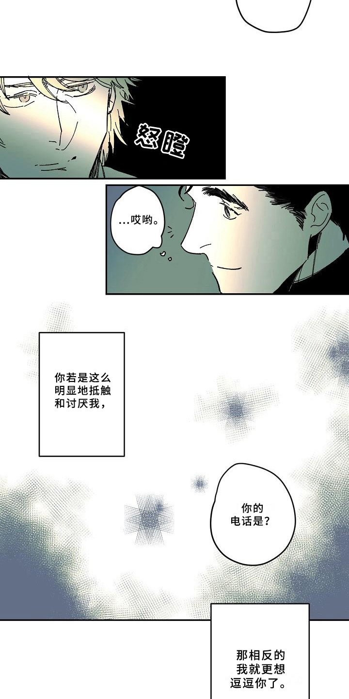 第27章：猜测