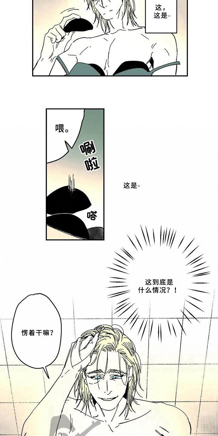 第34章：爱好