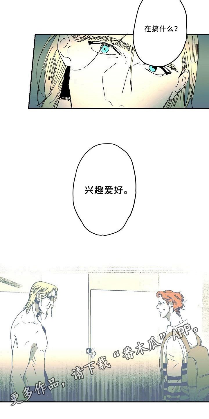 第34章：爱好