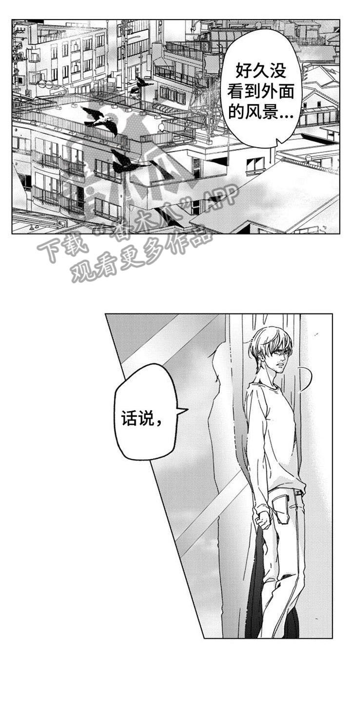 第11章：黑暗料理