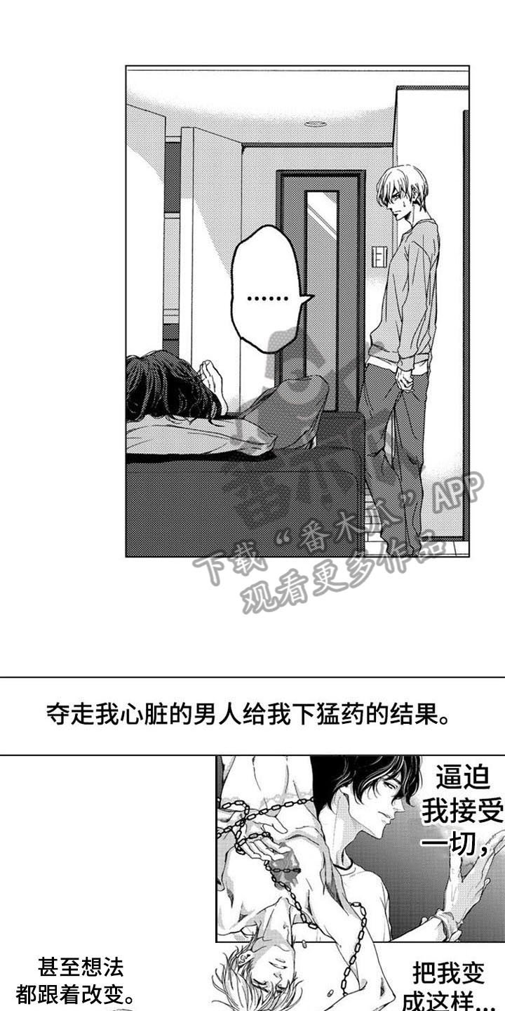 第12章：主动