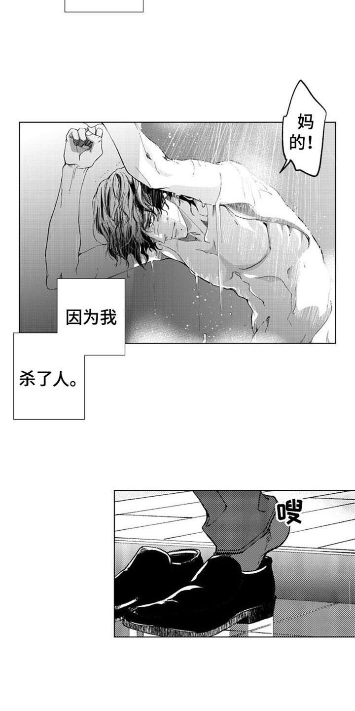 第13章：疑问