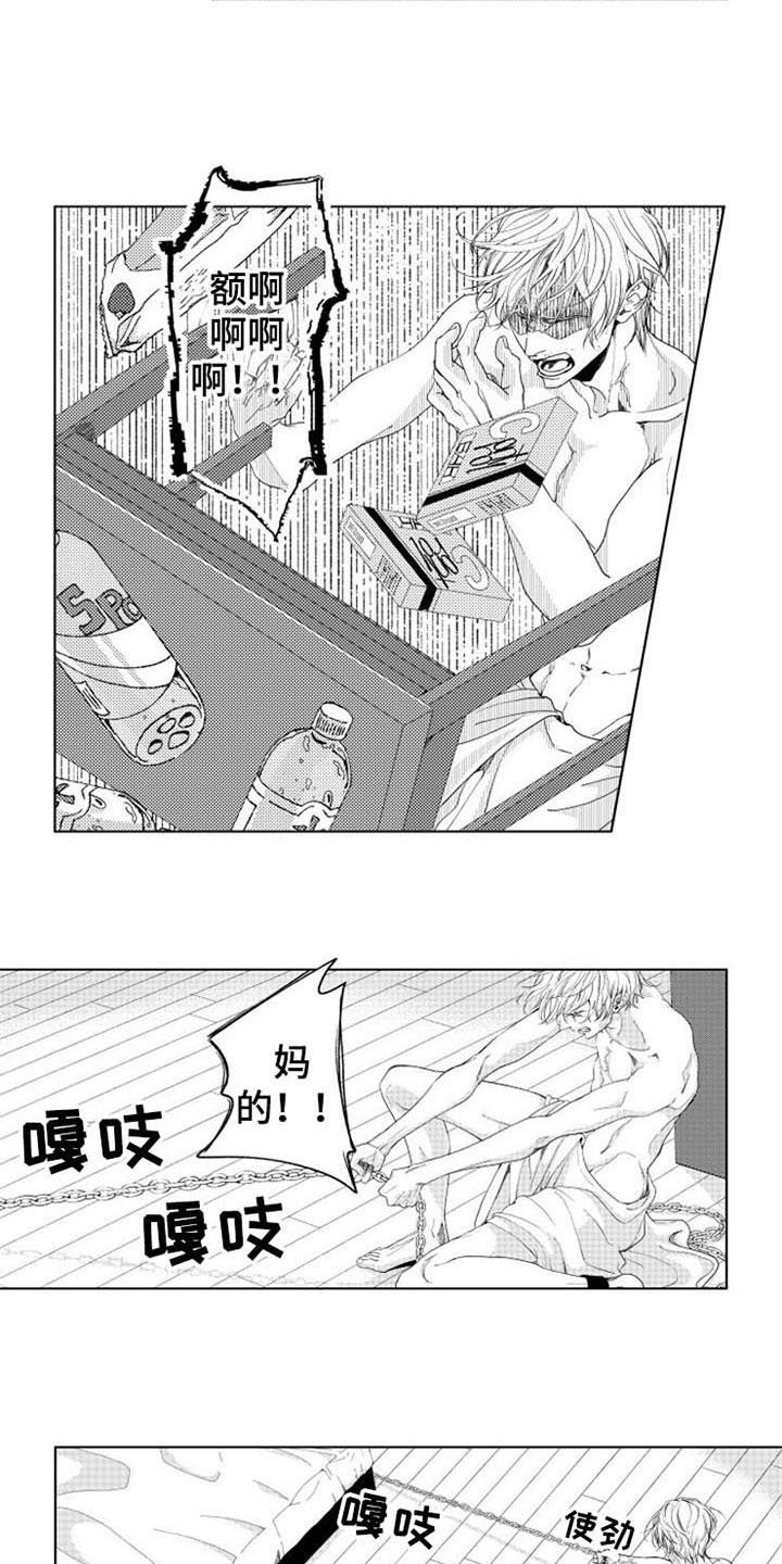 第4章：试探