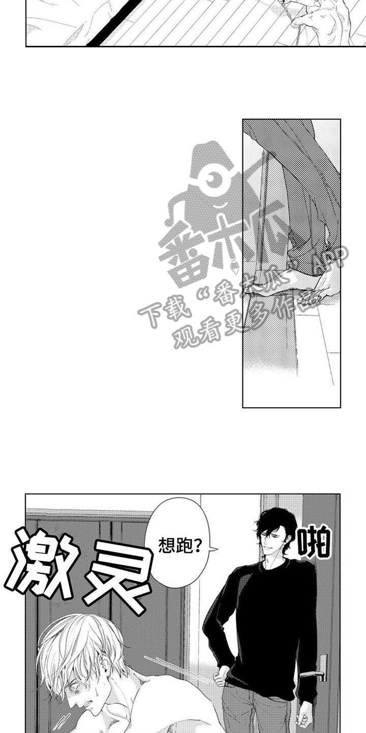 第4章：试探