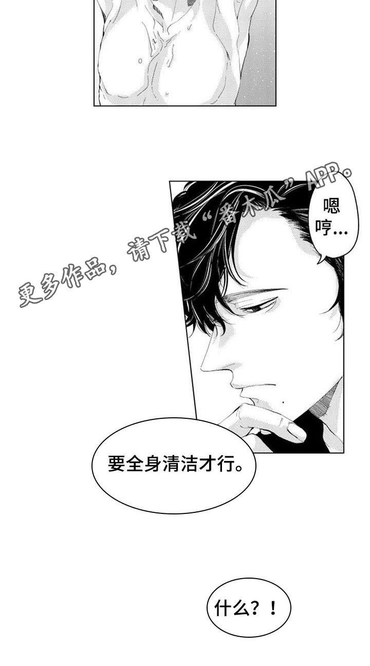 第4章：试探