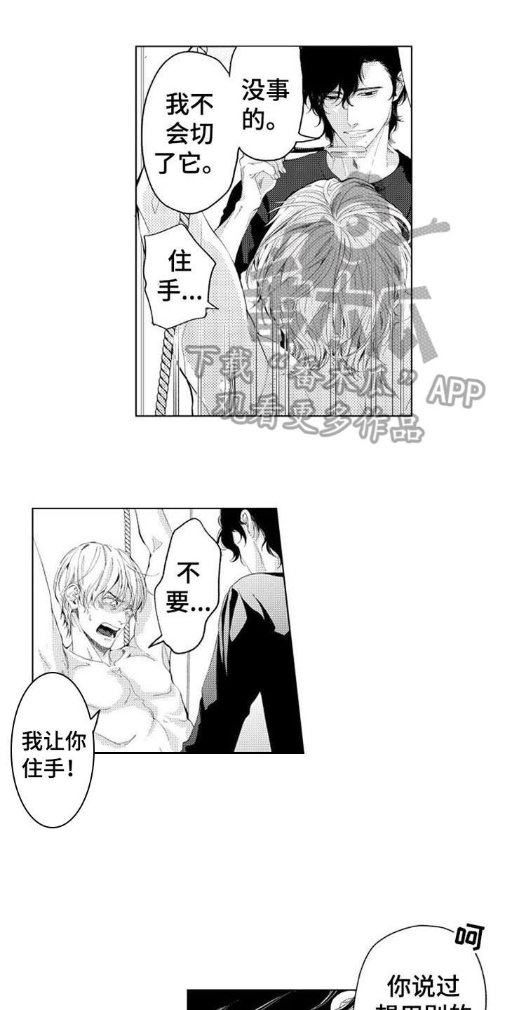 第5章：询问