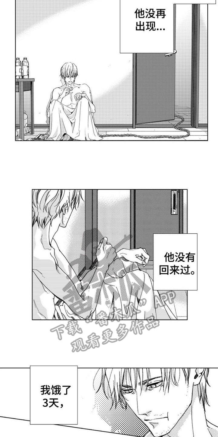 第6章：期盼