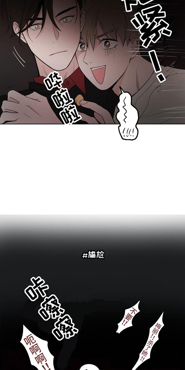 第17章：娱乐方式