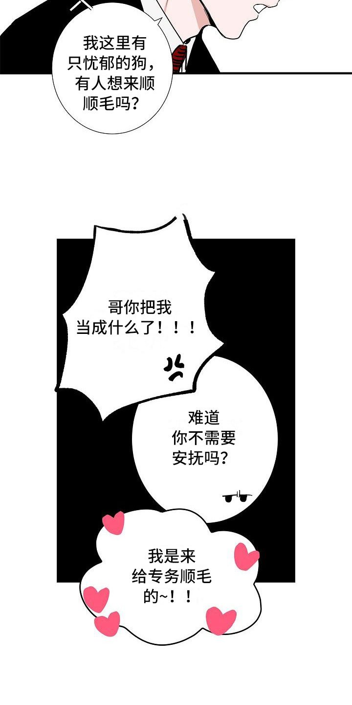 第2章：反差