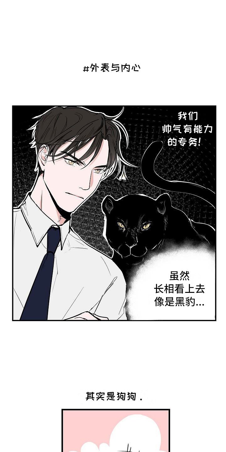 第2章：反差