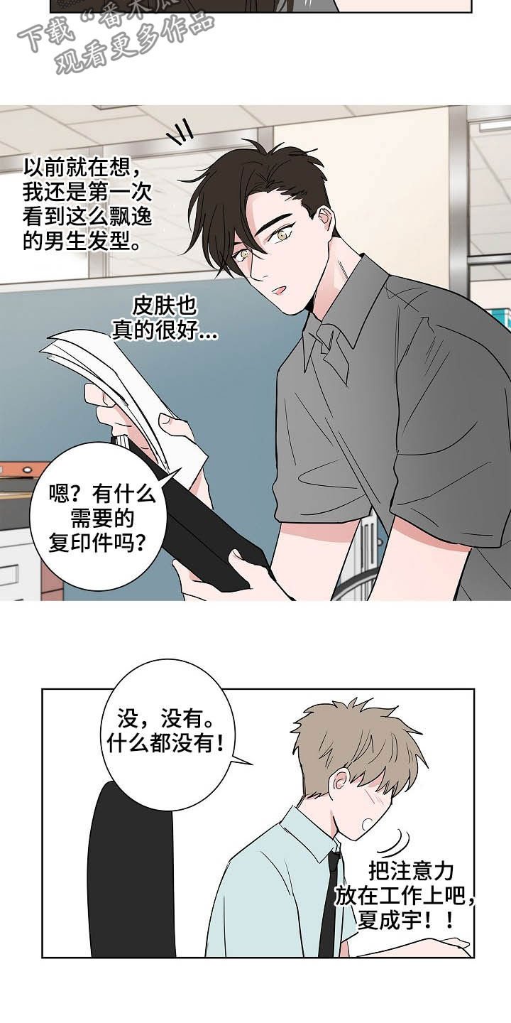 第26章：发型