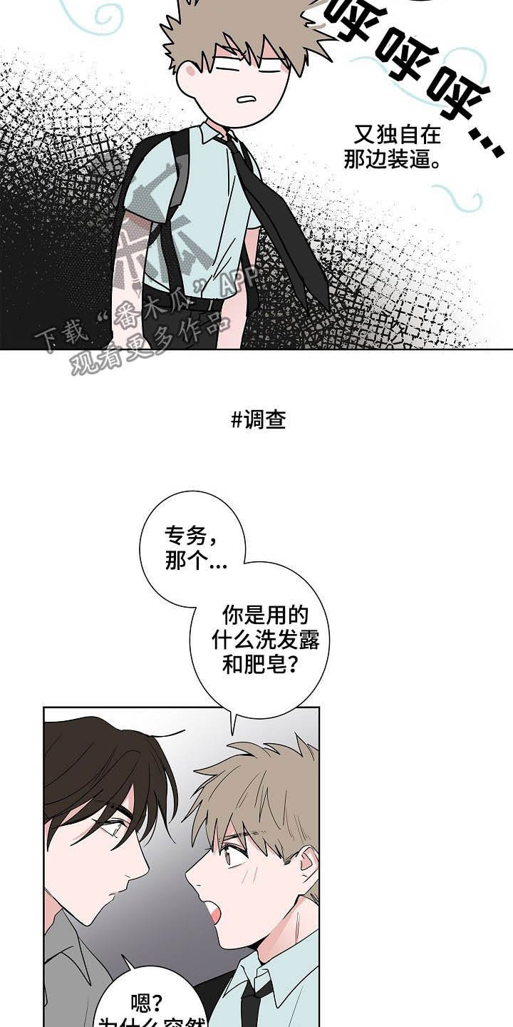 第26章：发型