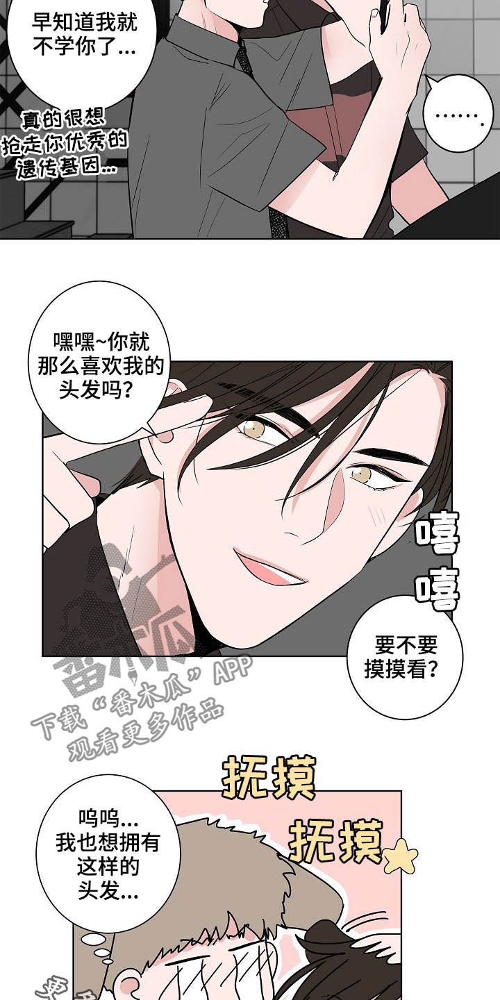 第26章：发型