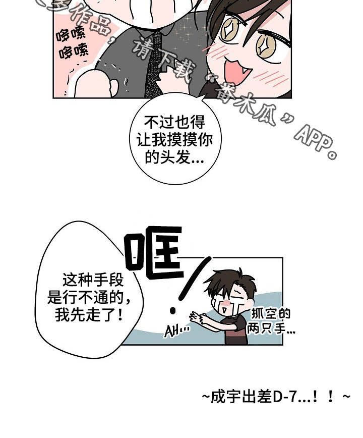 第26章：发型