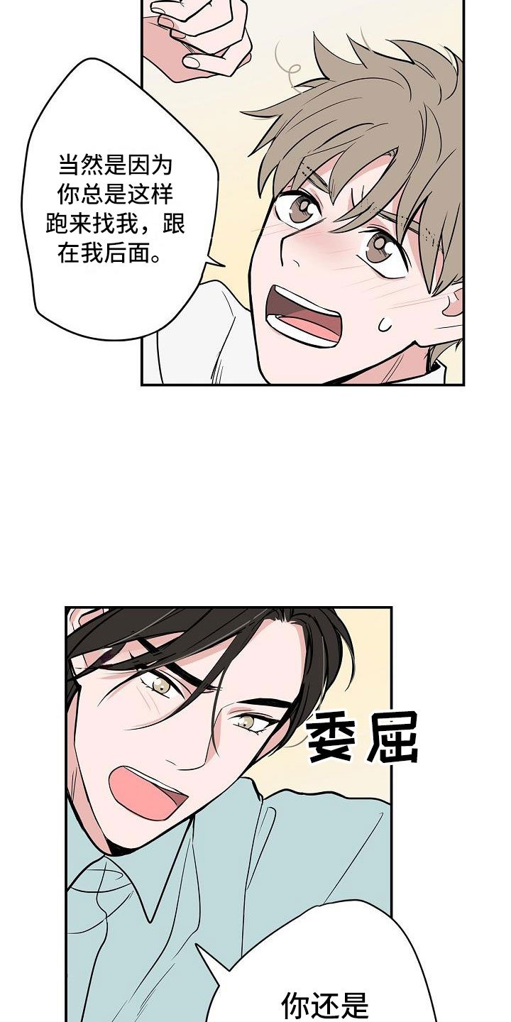 第3章：太狗了