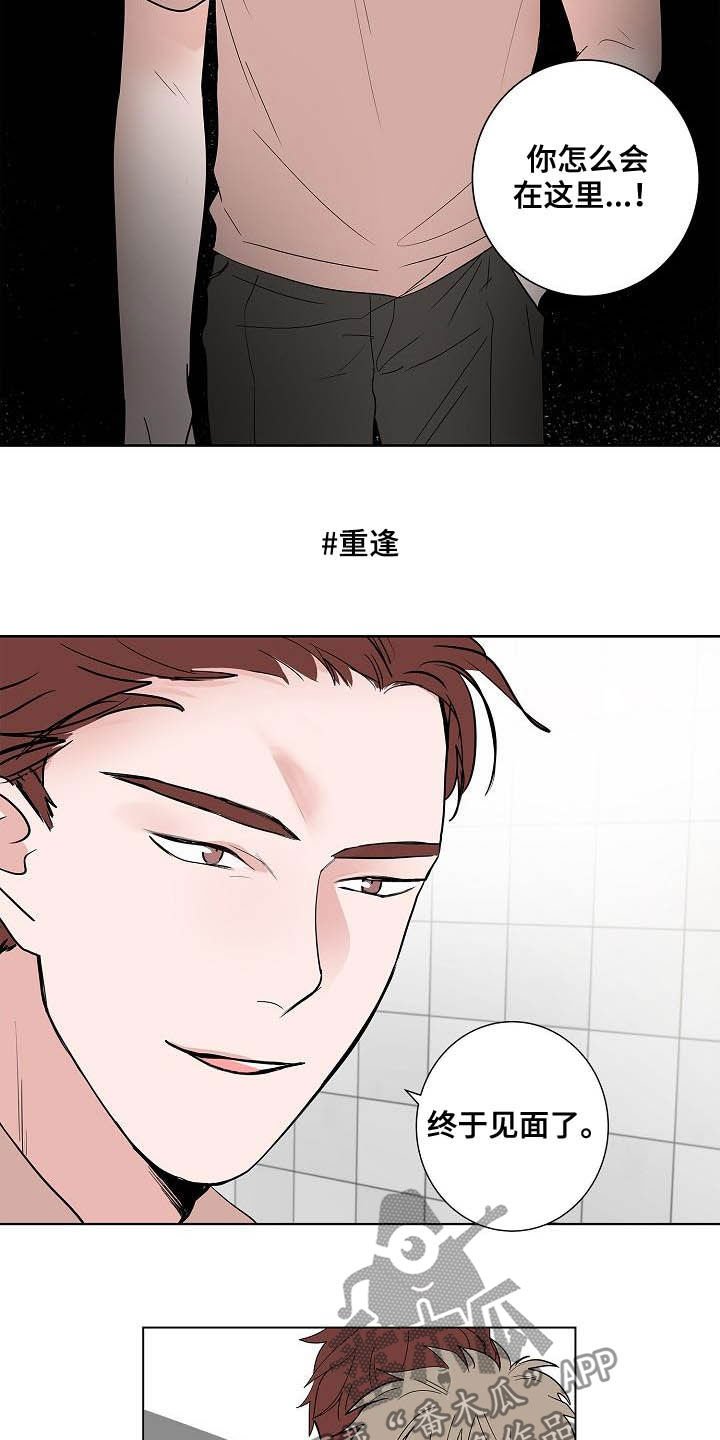 第46章：重逢