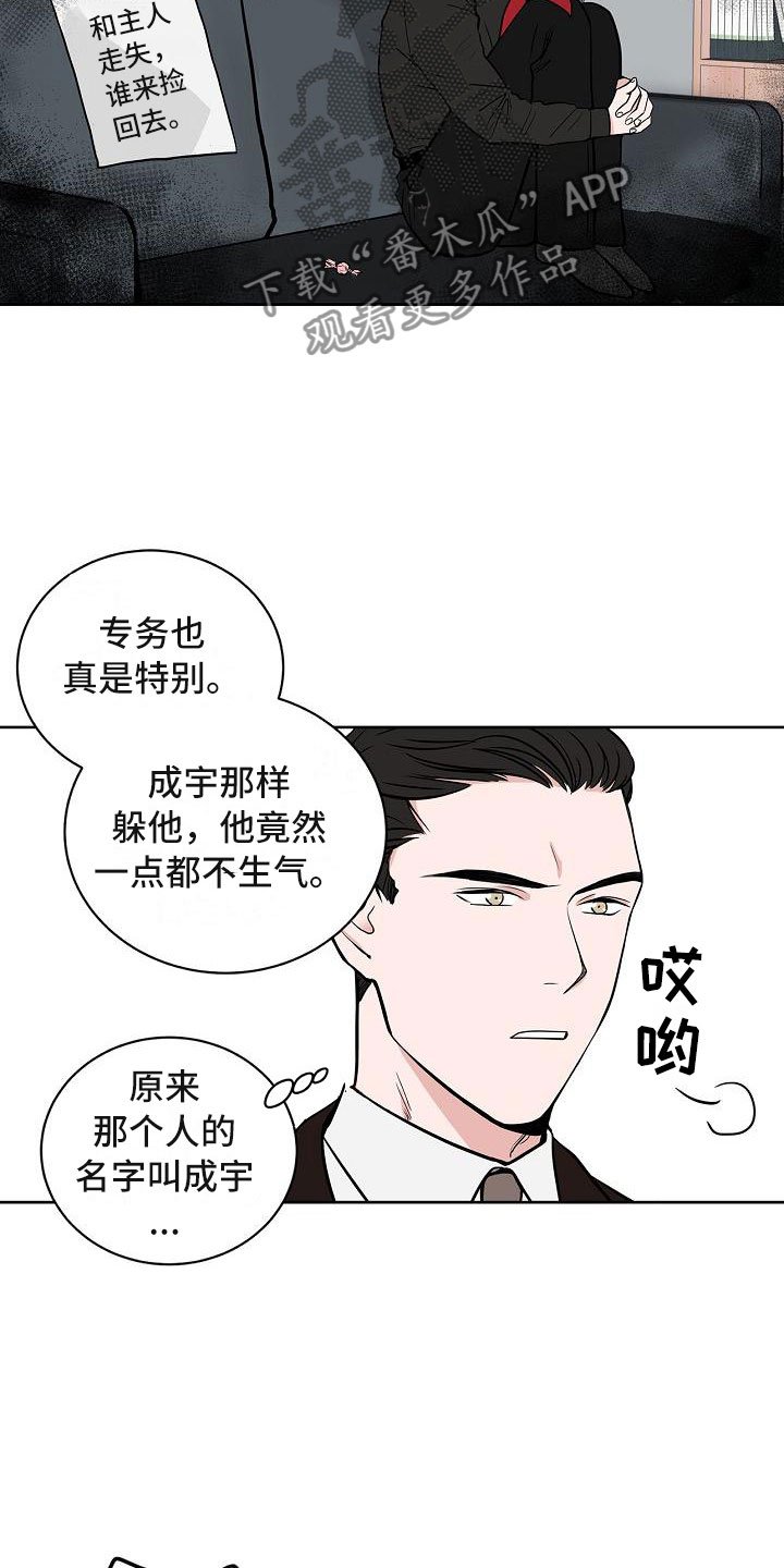 第6章：体贴