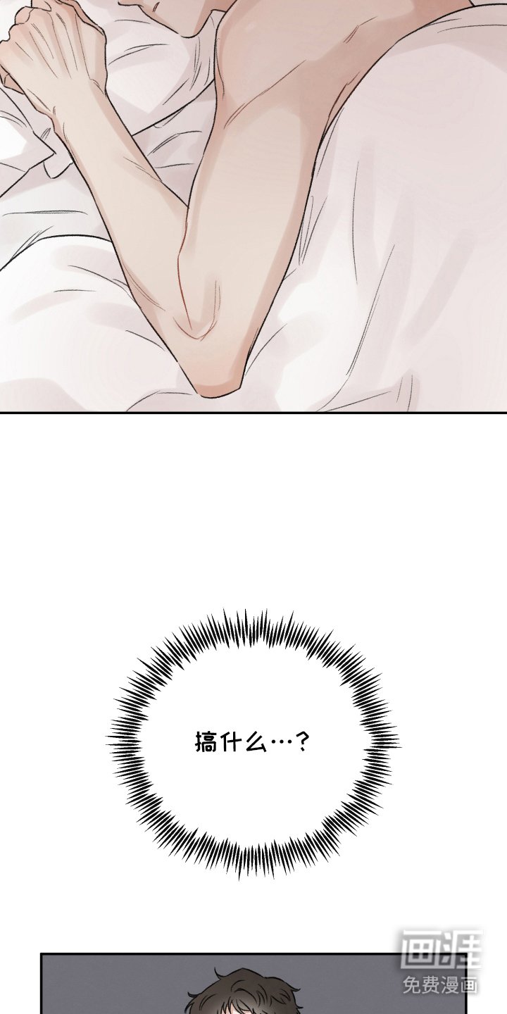 第1章：发现了什么