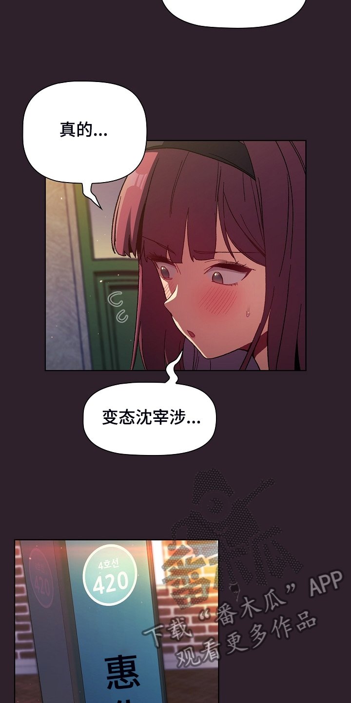 第29章：猜想