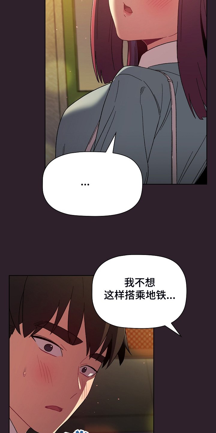 第29章：猜想