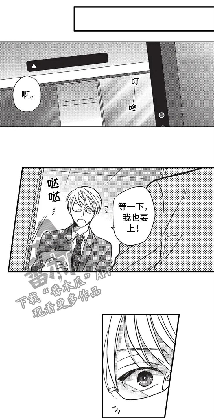 第25章：爱的选择