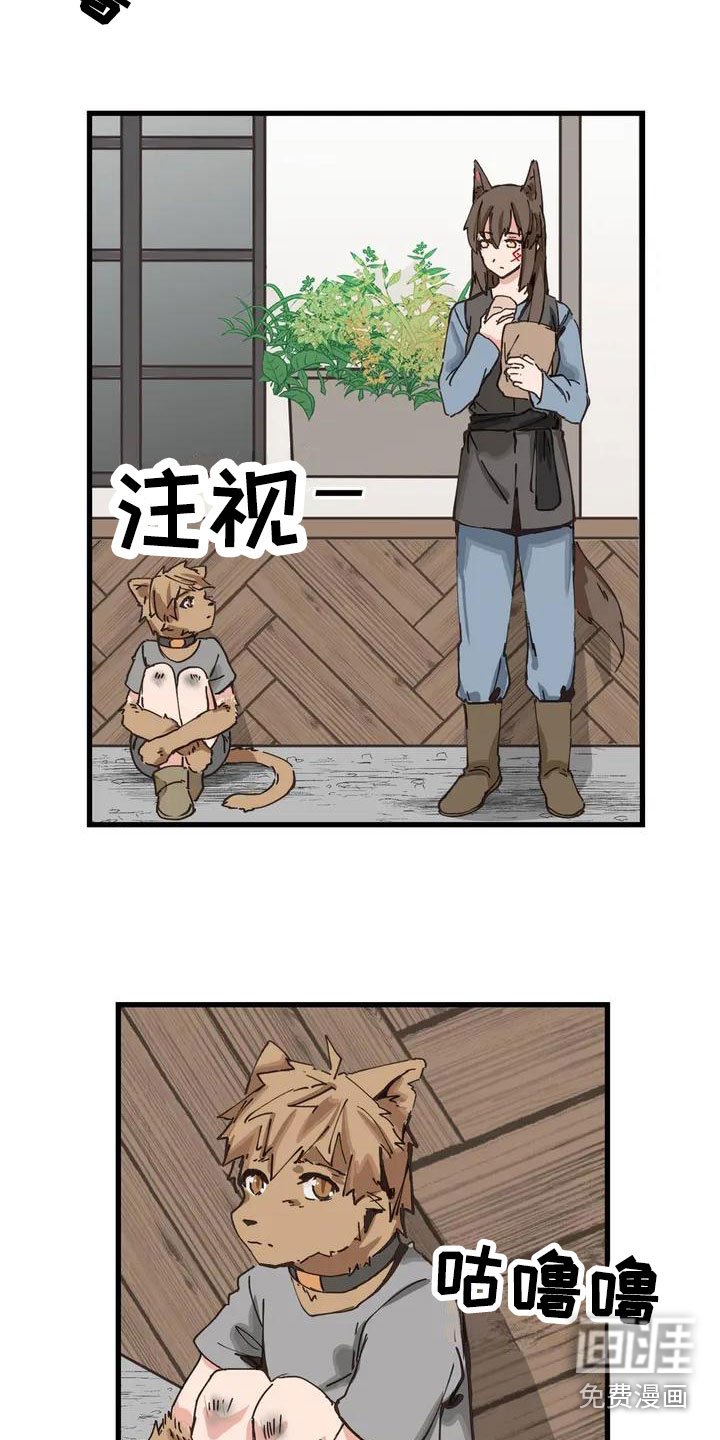 第11章：配合