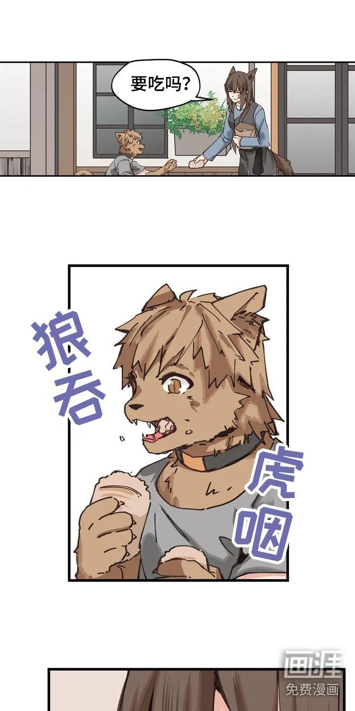 第11章：配合
