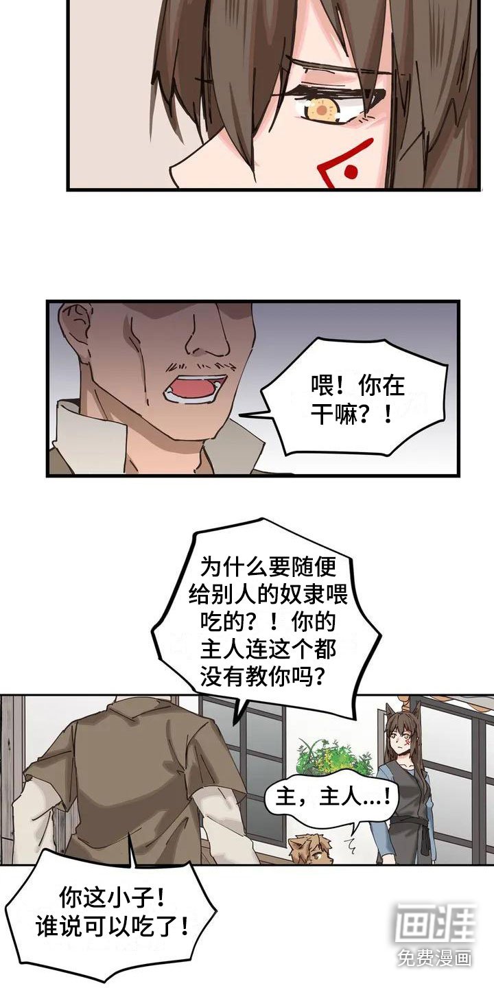 第11章：配合