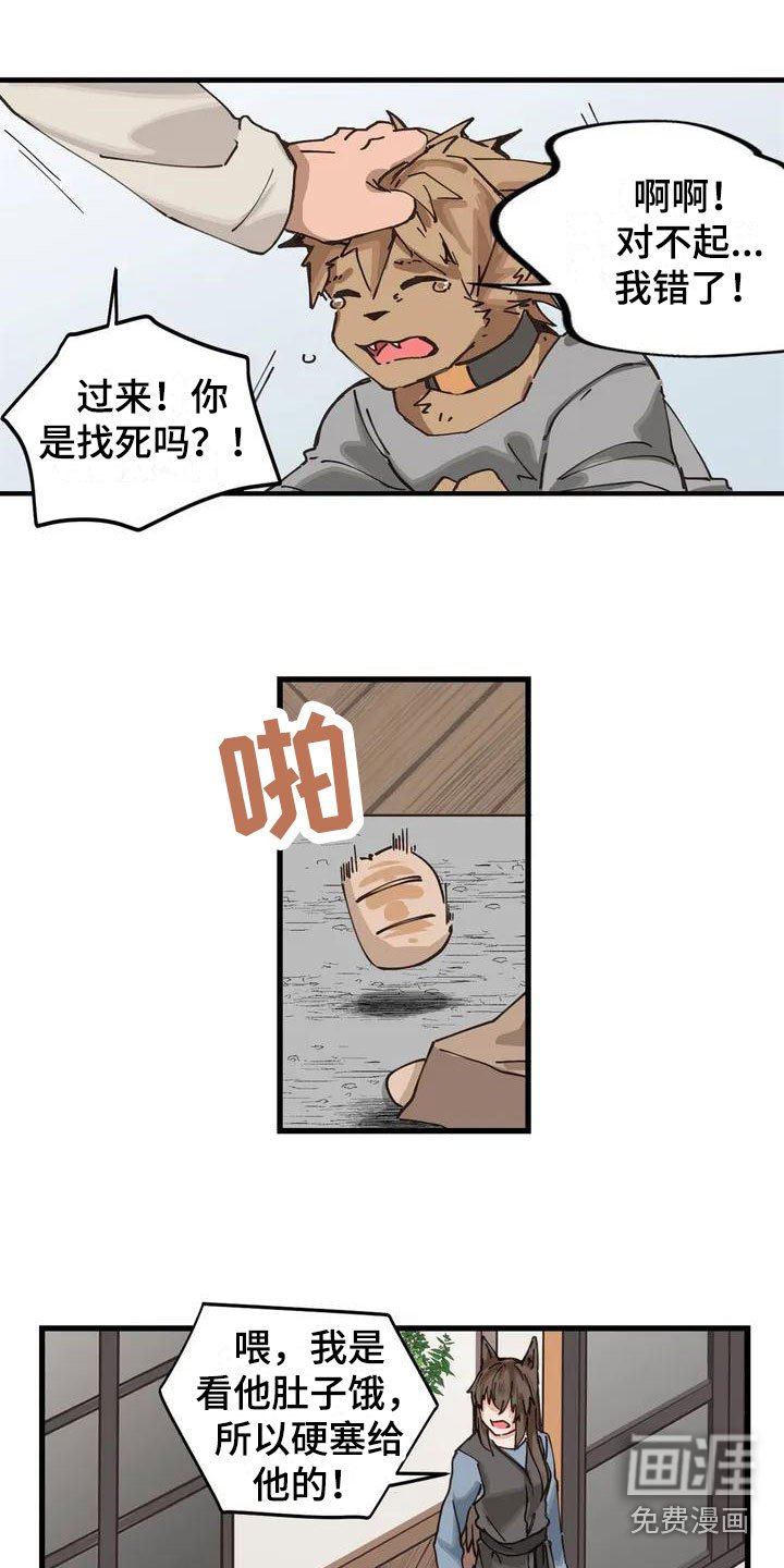 第11章：配合