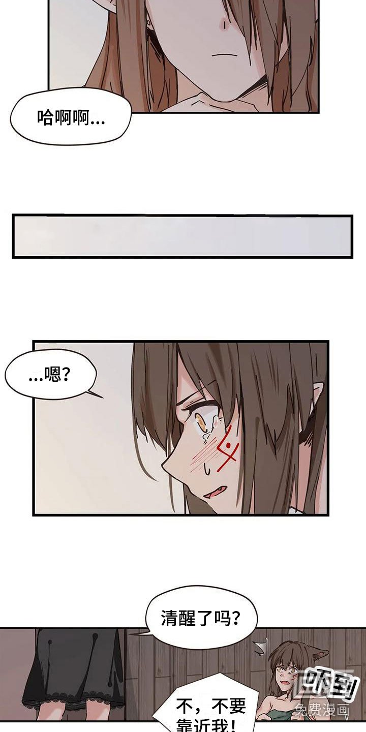 第15章：解决