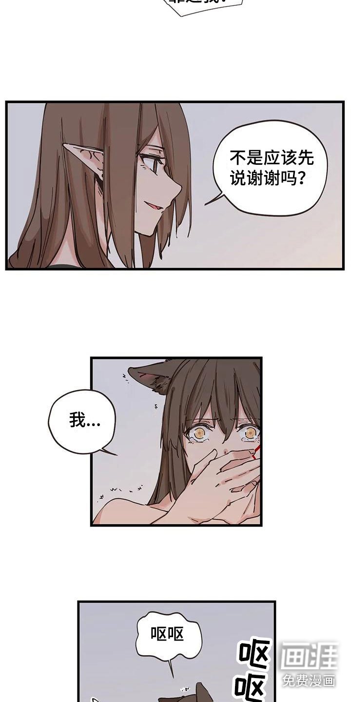 第15章：解决