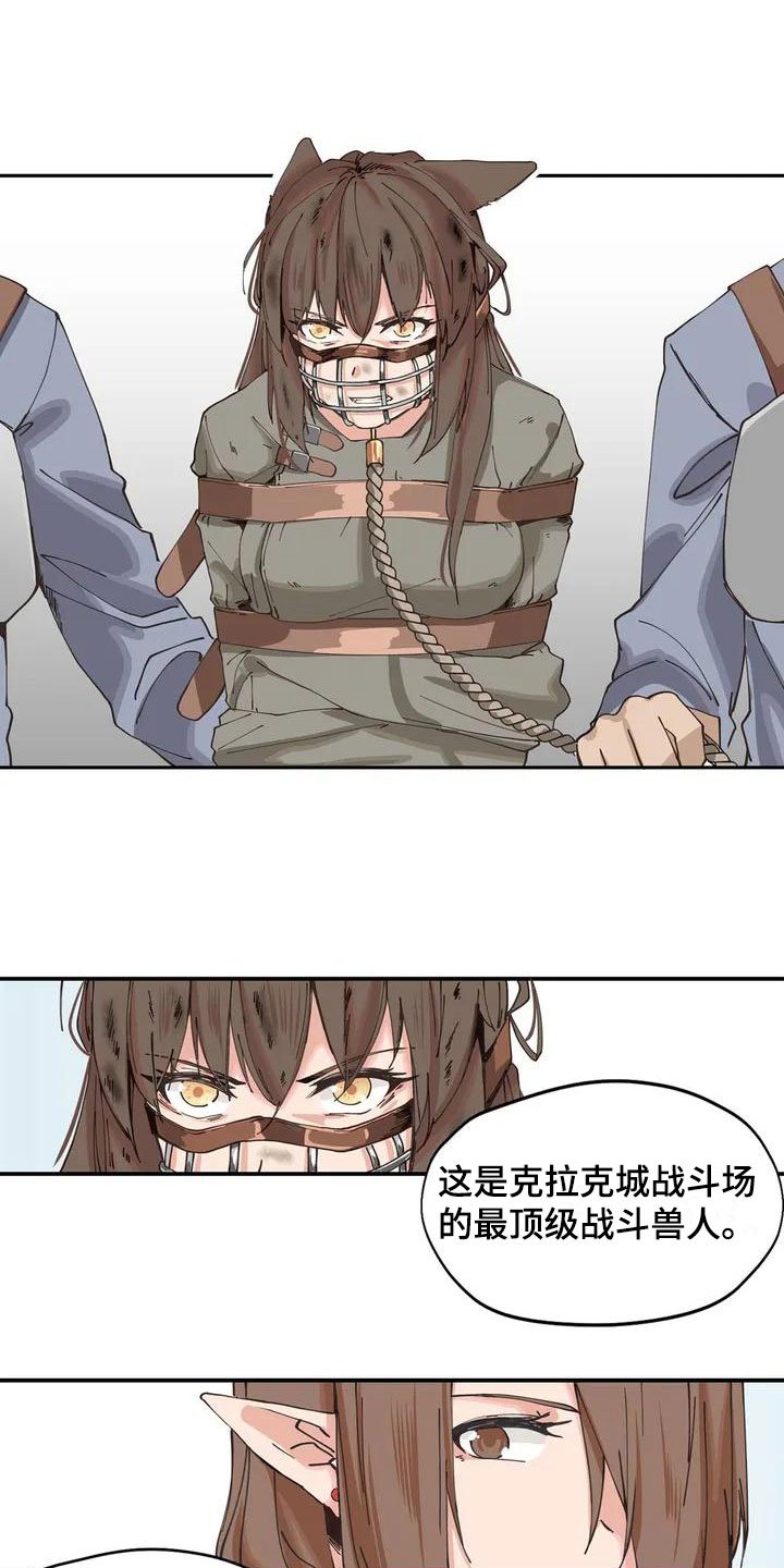 第3章：献给她