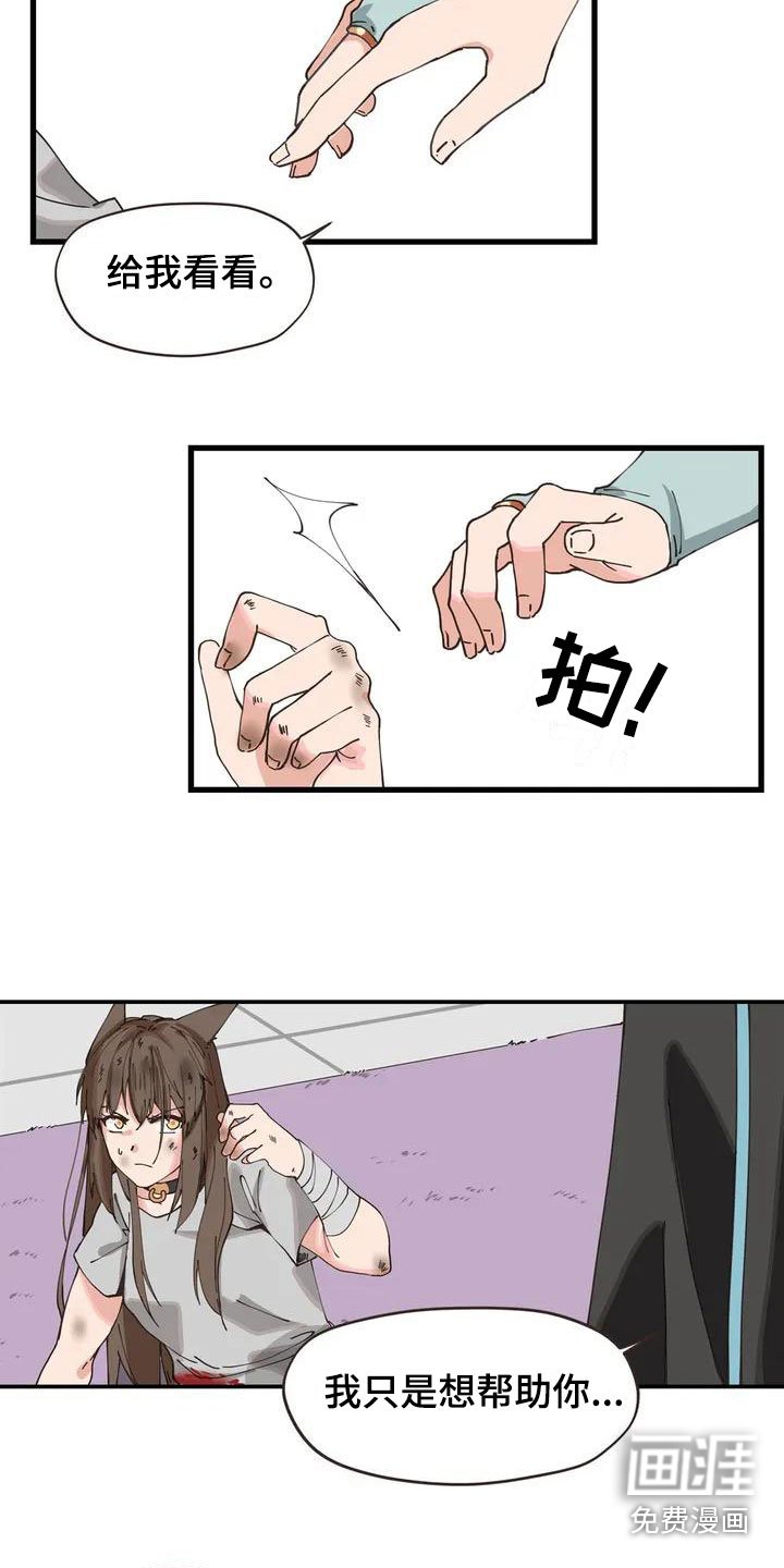 第5章：放开我