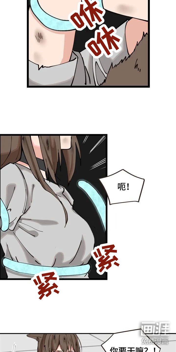第5章：放开我