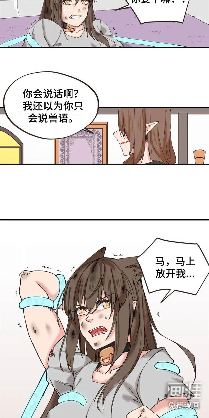第5章：放开我